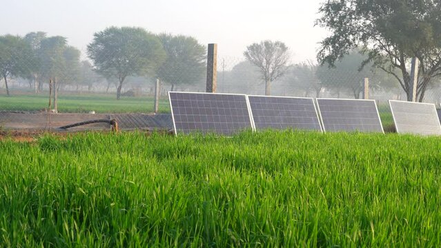 Neatly arranged solar panels in countryside India. Row of solar panels on a foggy day. Pictures of a solar farm