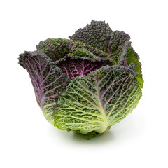 Whole fresh raw Pontoise cabbage close up isolated on white background close up