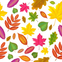 Colorful seamless pattern with autumn leaves. Falling red, yellow, green leaves Autumn fall on white background