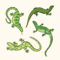 Fototapeta premium Vector set of green lizards isolated on white background. Hand drawn reptile.
