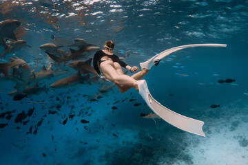 Swim with sharks. Woman with fins swimming with the Nurse shark - Ginglymostoma cirratum in tropical ocean.
