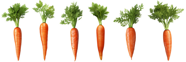 Set of Carrot isolated on white or transparent background