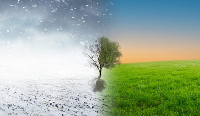 Season change from winter to summer concept with a tree. - obrazy, fototapety, plakaty