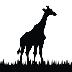 giraffe silhouette vector © Ismail Hossain