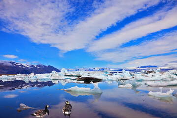 Cirrus cloud, drifting ice and flying geese © Kushnirov Avraham