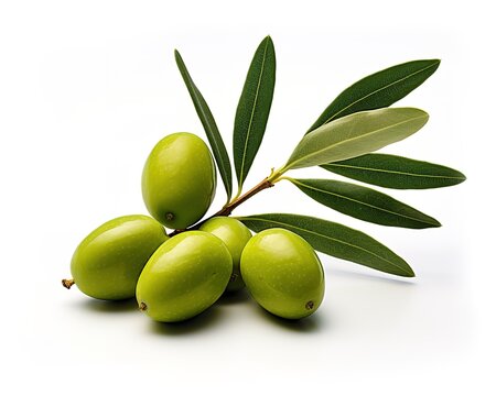 close-up photo of fresh olives with green leaves on a white background. generative AI