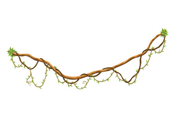 Twisted wild lianas branches banner. Jungle vine plants. Woody natural tropical rainforest, exotic botany. Woody natural branches