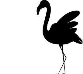 Silhouette of flamingo black color