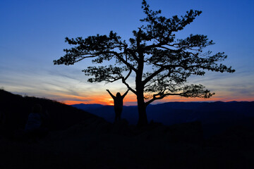 A lone tree at sunset at Ravens Roost overlook on Skyline Drive in Blue Ridge Mountains with views of Shenandoah Valley of Virginia