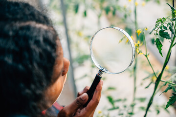 A black woman a dedicated gardener and farmer uses a magnifying glass to inspect plant growth in...