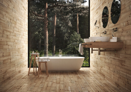 visualization of the interior of a bathroom in a country house