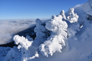 landscape, winter, snow, mountains, frost, white, cold, snowdrifts, search, trails, avalanche...