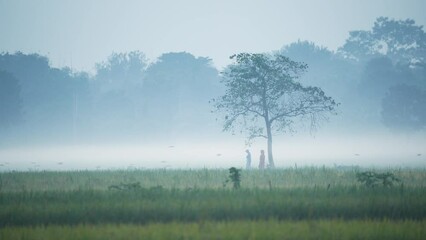 The beauty of a foggy winter morning as nature weaves its magic, revealing the serene coexistence of villagers and the landscape. A glimpse into a tranquil, harmonious rural life	