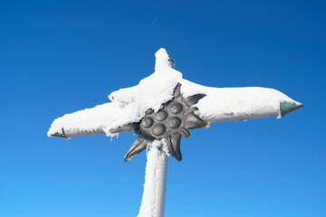Ein Bergkreuz mit Edelweis im Winter - obrazy, fototapety, plakaty