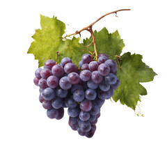 photo of bunch of grapes isolated on transparent background - obrazy, fototapety, plakaty