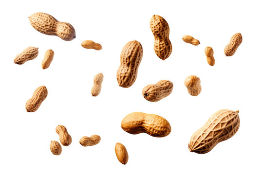 many flying peanut isolated on transparent background