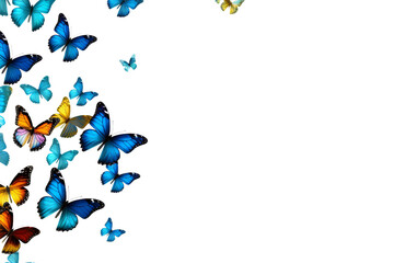 many butterfly flying isolated on transparent background