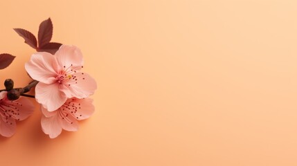 Flowers on a peach fuzz, orange and pink shade background and copy space 