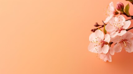  Flowers on a peach fuzz, orange and pink shade background and copy space