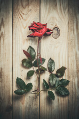 Red rose on a wooden surface, background with rose