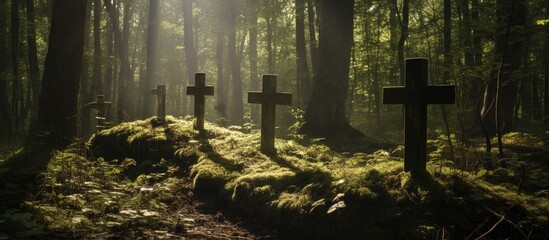 Three soldiers' graves adorned with crosses on a sunny day in the woods. - obrazy, fototapety, plakaty