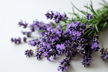 Lavender flowers arranged in a bunch on a clean white surface. Suitable for aromatherapy, spa, or natural skincare concepts