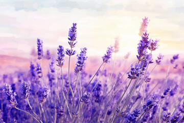 Watercolor Style Closeup of a Lavender Field in Full Bloom, Flower, Closeup, Watercolor style