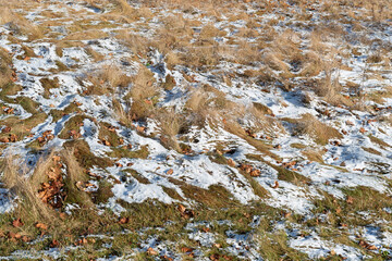 dried grass with a light dusting of snow 
