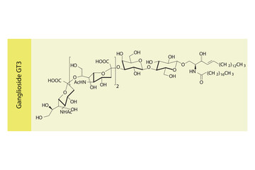 Molecular structure diagram of Ganglioside GT3 yellow Scientific vector illustration.