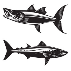 Barracuda silhouettes and icons. black flat color simple elegant white background Barracuda animal vector and illustration.