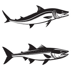 Barracuda silhouettes and icons. black flat color simple elegant white background Barracuda animal vector and illustration.