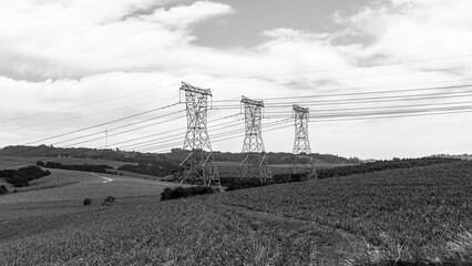 Electricity Towers Cables Countryside Black White Transportation