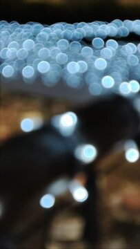 Abstract background of blue lights creating a bokeh effect by lens blur