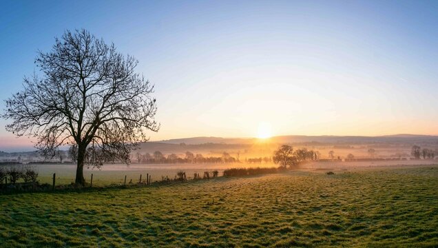Beautiful Foggy Sunrise at Farm in Ireland