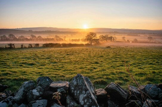 Beautiful Foggy Sunrise at Farm in Ireland