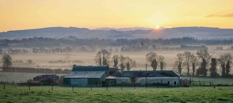 Beautiful Foggy Sunrise at Farm in Ireland
