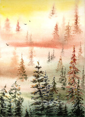 Hand painted watercolor misty forest landscape. Watercolor foggy woods. Watercolor misty pine trees.