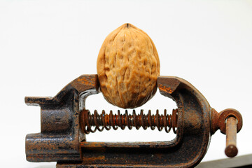Nutcracker, walnut in vice