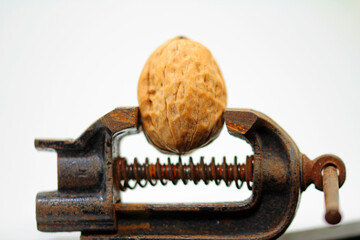 Nutcracker, walnut in vice