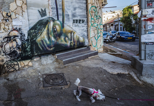 Tel Aviv, Israel - October 21, 2015: Street art on a roller shutter by Jack TML n Florentin neighborhood in Tel Aviv city