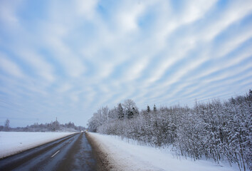 Obraz premium The altocumulus undulatus is a mid-level cloud that resemble 