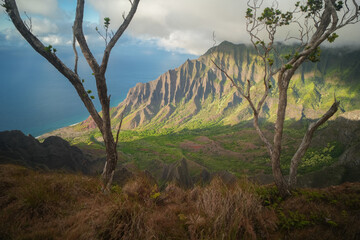 Landscape view of Na Pali Coast in Hawaii