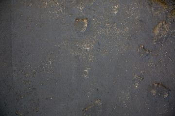 Texture of an old purple shabby wall