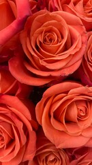 bouquet of red roses