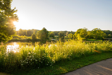 Peaceful Lake on a Summer Evening in the Midwest
