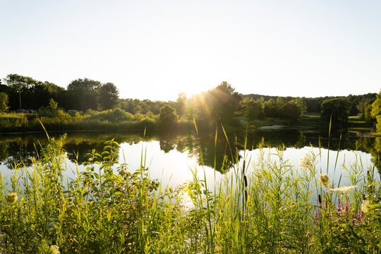 Peaceful Lake on a Summer Evening in the Midwest
