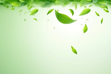 Flying Green Tea Leaves, Ted Leaf Realistic Background, Tea Leaves Vortex Pattern