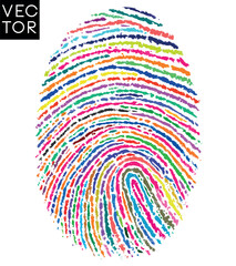 Colorful fingerprint, finger print vector illustration.