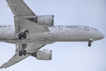 Fuselage seen from below of a large airliner with landing gear deployed ready for landing