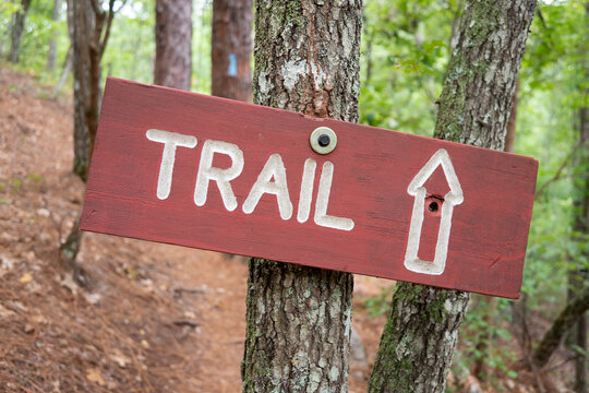 A trailhead sign and blue blaze marking along a trail through the forest